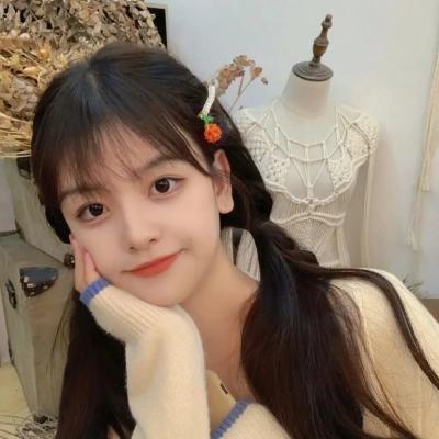 烽火雁翎